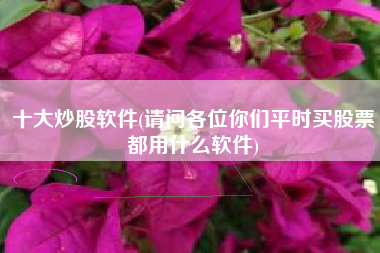 十大炒股软件(请问各位你们平时买股票都用什么软件)