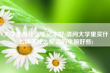 大学生用什么笔记本好(请问大学里买什么牌子什么配置的电脑好些)
