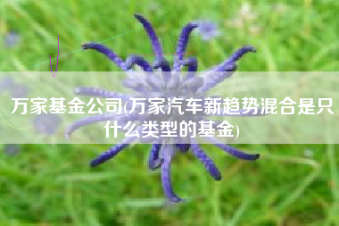 详细阅读:万家基金公司(万家汽车新趋势混合是只什么类型的基金) 万家基金公司(万家汽车新趋势混合是只什么类型的基金)