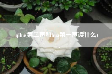 qihu(第二声和hua第一声读什么)