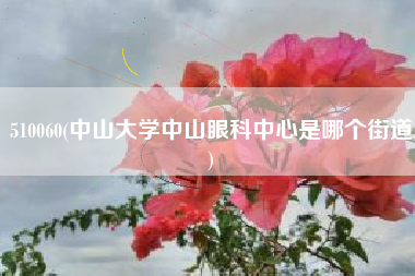 510060(中山大学中山眼科中心是哪个街道)