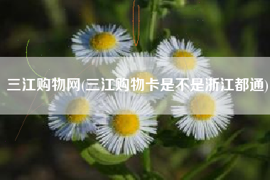 三江购物网(三江购物卡是不是浙江都通)