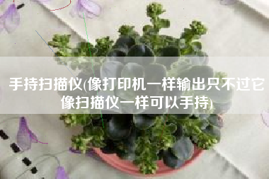 手持扫描仪(像打印机一样输出只不过它像扫描仪一样可以手持)