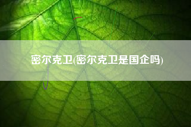 密尔克卫(密尔克卫是国企吗)