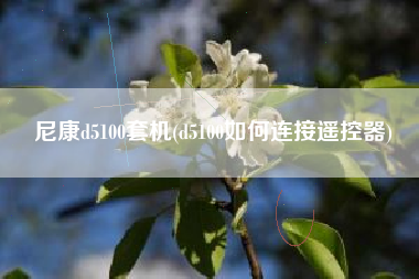 尼康d5100套机(d5100如何连接遥控器)