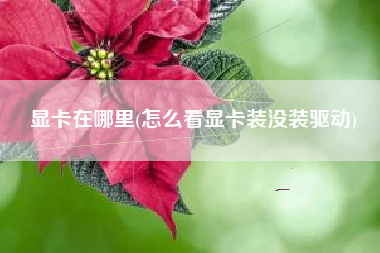 显卡在哪里(怎么看显卡装没装驱动)