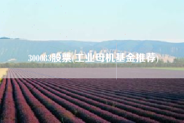300083股票(工业母机基金推荐)
