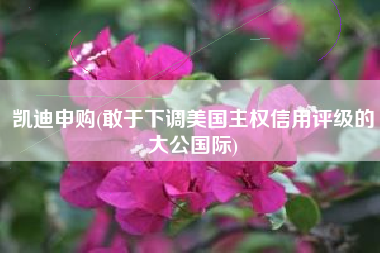凯迪申购(敢于下调美国主权信用评级的大公国际)