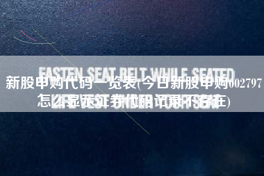新股申购代码一览表(今日新股申购002797怎么显示证券代码记录不存在)