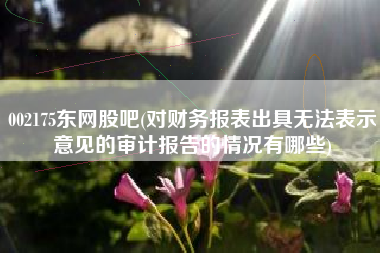 002175东网股吧(对财务报表出具无法表示意见的审计报告的情况有哪些)