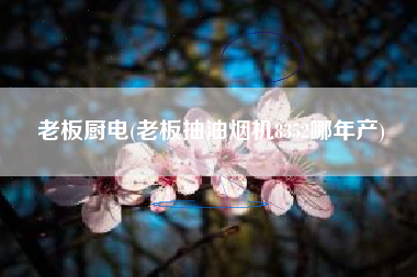 老板厨电(老板抽油烟机8352哪年产)
