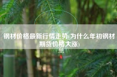 钢材价格最新行情走势(为什么年初钢材期货价格大涨)