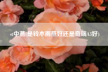 st中燕(是铃木雨燕好还是奇瑞A3好)