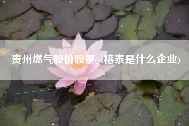 贵州燃气股份股票(st榕泰是什么企业)