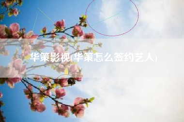华策影视(华策怎么签约艺人)