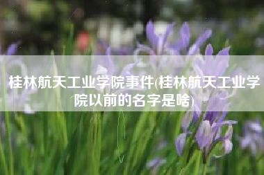 桂林航天工业学院事件(桂林航天工业学院以前的名字是啥)