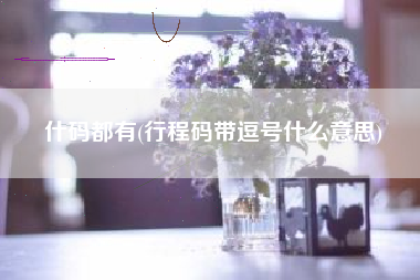 什码都有(行程码带逗号什么意思)