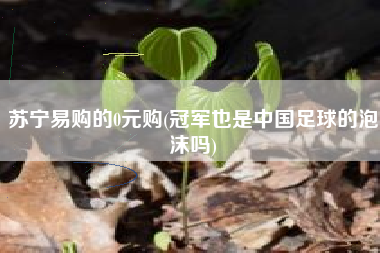 苏宁易购的0元购(冠军也是中国足球的泡沫吗)