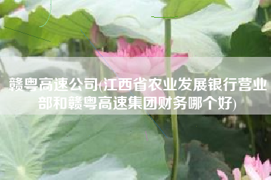 赣粤高速公司(江西省农业发展银行营业部和赣粤高速集团财务哪个好)