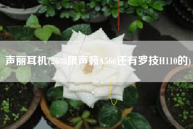 声丽耳机(2688跟声籁A566还有罗技H110的)