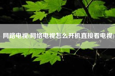 网路电视(网络电视怎么开机直接看电视)