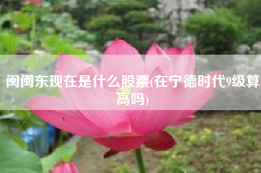 闽闽东现在是什么股票(在宁德时代9级算高吗)