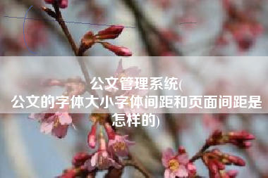 公文管理系统(
公文的字体大小字体间距和页面间距是怎样的) 公文管理系统(
公文的字体大小字体间距和页面间距是怎样的)