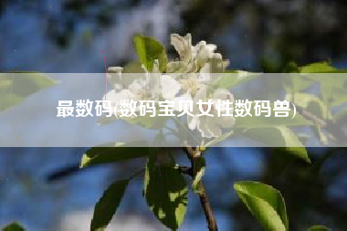最数码(数码宝贝女性数码兽)