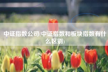 中证指数公司(中证指数和板块指数有什么区别)