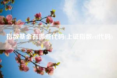 指数基金有哪些代码(上证指数etf代码)