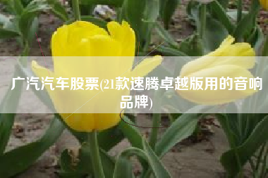广汽汽车股票(21款速腾卓越版用的音响品牌)