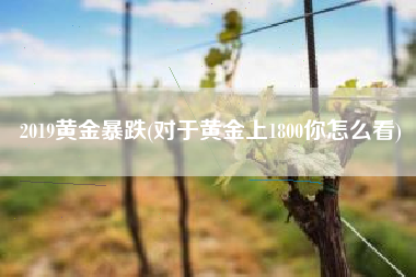 2019黄金暴跌(对于黄金上1800你怎么看)