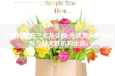 中国核电的三大龙头股(光伏龙头通威股份今日大跌机构出逃)