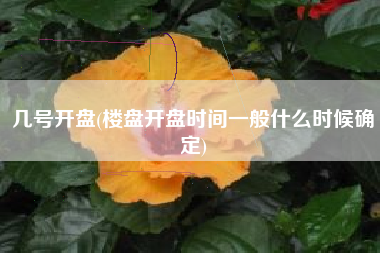 几号开盘(楼盘开盘时间一般什么时候确定)
