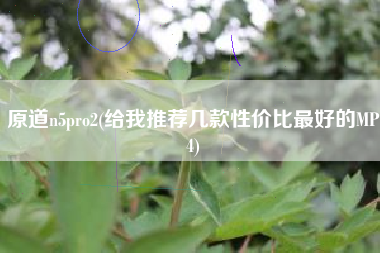 原道n5pro2(给我推荐几款性价比最好的MP4)