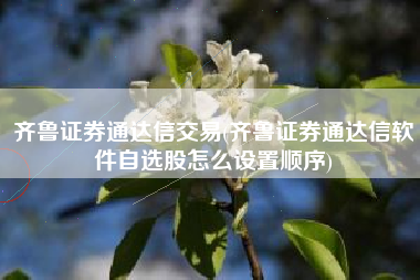 齐鲁证券通达信交易(齐鲁证券通达信软件自选股怎么设置顺序)