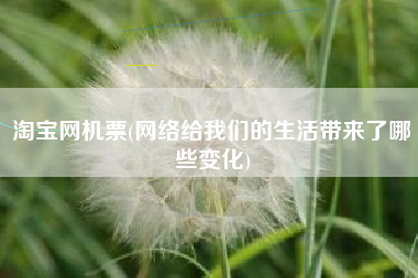 淘宝网机票(网络给我们的生活带来了哪些变化)