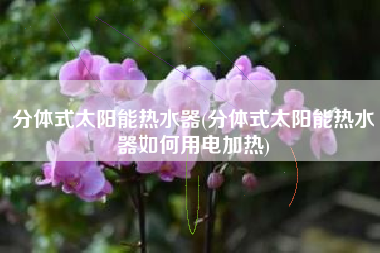 分体式太阳能热水器(分体式太阳能热水器如何用电加热)