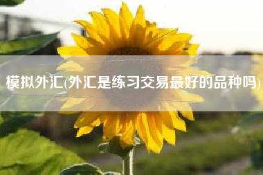 模拟外汇(外汇是练习交易最好的品种吗)