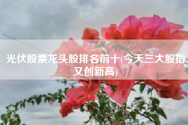 光伏股票龙头股排名前十(今天三大股指又创新高)