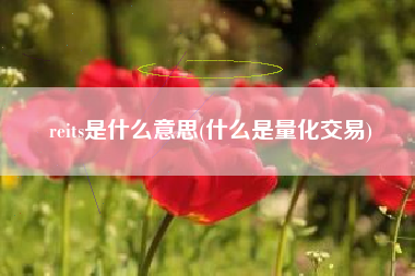 reits是什么意思(什么是量化交易)