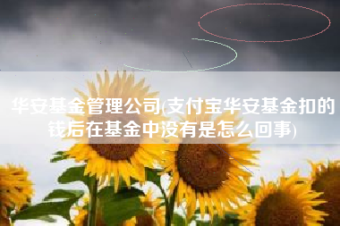 华安基金管理公司(支付宝华安基金扣的钱后在基金中没有是怎么回事)