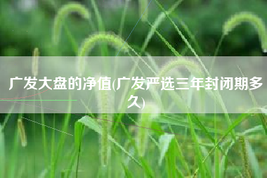 广发大盘的净值(广发严选三年封闭期多久)