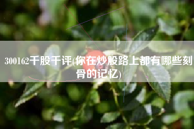 300162千股千评(你在炒股路上都有哪些刻骨的记忆)