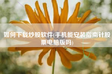 如何下载炒股软件(手机能安装指南针股票电脑版吗)
