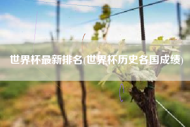 世界杯最新排名(世界杯历史各国成绩)