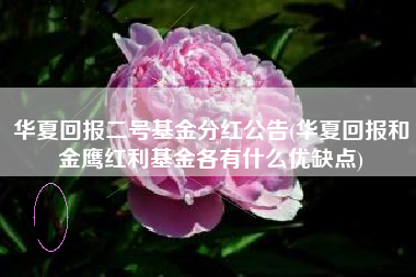 华夏回报二号基金分红公告(华夏回报和金鹰红利基金各有什么优缺点)