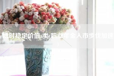 博时稳定价值a类(职业年金入市步伐加速)