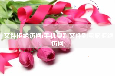 文件拒绝访问(手机复制文件到电脑拒绝访问)