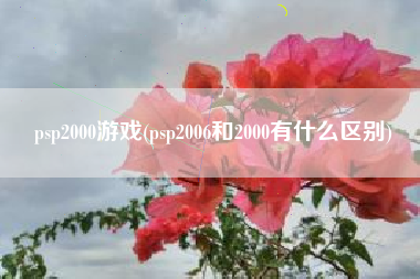 psp2000游戏(psp2006和2000有什么区别)